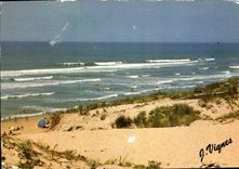 CPM Visage des Landes Plage de la Cote Aquitaine les vagues sont des fleurs breves languides 
