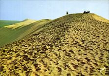 CPM Couleurs et Lumiere de France Bassin d'Arcachon Arcachon Gironde la Dune du Pilat 