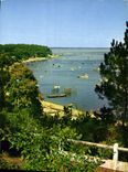 CPM Couleurs et Lumiere de France Bassin d'Arcachon Gironde la Pointe aux Chevaux 