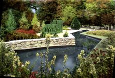 CPM Vichy Allier Reine des Villes d'Eaux Dans les grands parcs Massifs floraux 