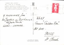 CPM Vignes Visage des Landes Joies de la baignade