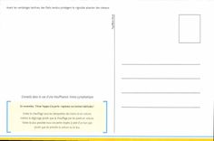 CPM Avant les venndages tardives des filets tendus protegent le vignoble alsacien des oiseaux 
