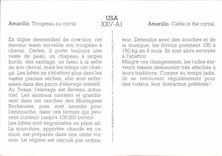CPM Amarillo Troupeau au corral 