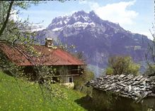CPM Printemps dans les Alpes Dans un coin de la Vallee 