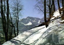 CPM Une ravissan promenade face au Massif des Sept Laux 