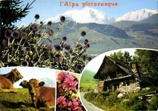 CPM L'Alpe pittoresque 