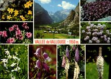 CPM Vallee de Vallouise 