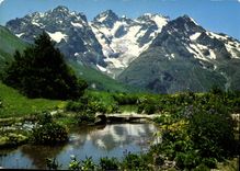 CPM Le Jardin Alpin au Col du Lautaret et Massif de la Meije 
