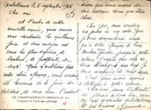 CPM Le Champsaur Pittoresque Troupeau de Vachesau paturage 