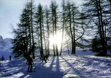 CPM Couleurs et Lumiere de France les Alpes Superdevouluy Hautes Alpes Les pistes Domaine du Soleil 