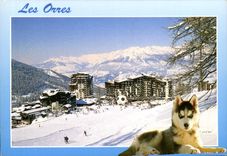 CPM Les Orres Chien Husky