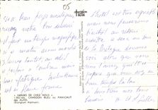 CPM Images de Chez Nous Chardon Bleu ou Panicaut 