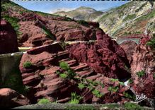 CPM La Route des Grandes Alpes La route dans les Gorges de Daluis et le Pont du Saut de la Mariee 