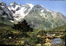 CPM Col du Lautaret Le Jardin Alpin et la Meije 