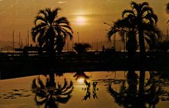 CPM Cote d'Azur French Riviera Coucher de Soleil 
