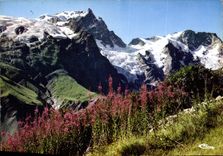 CPM Les Alpes Francaises La Meije 