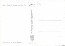 CPM Dans les Alpages du Mont Viso 