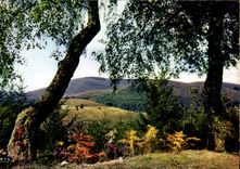 CPM Limousin Pittoresque Entre les Hautes Vallees de la Vezere et de la Correze Le Massif des Monedi