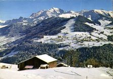 CPM Notre Dame de Bellecombe Savoie Vue panoramique 