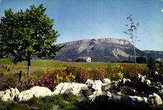 CPM La Feclaz en ete Rocaille fleurie face au Margeriaz 