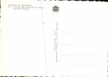 CPM Flore de Montagne Chardon bleu Panicaut des Alpes 