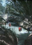CPM Tunisie Les lavandieres de l'Oasis 