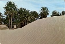 CPM Tunisie Sahara 