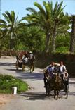 CPM Gabes Promenade a travers l'Oasis 