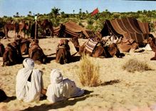 CPM Nefta Tunisie 