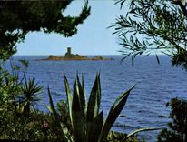 CPM Cote d'Azur Le Dramont L'Ile d'Or 