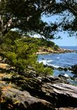 CPM Pinede et Calanque de la Cote Mediterranee 
