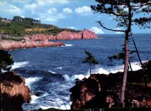 CPM Cote d'Azur L'esterel et ses roches rouges 