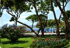 CPM La Cote d'Azur Juan les Pins La Pinede 