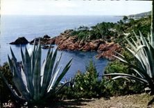 CPM La Corniche d'Or  Rivages mediterraneens