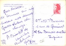 CPM L'Esterel Alpes Maritimes Rochers rouges et pins maritimes 