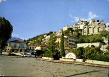 CPM Paysages de France Contes les Pins Alpes Maritimes 