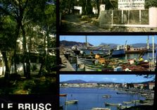 CPM Reflets de France Cote d'Azur Le Brusc 