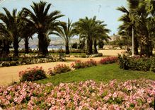 CPM Cannes Une partie des Jardins fleurist de La Croisette 