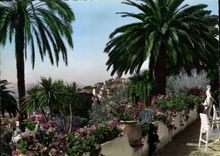 CPM Grasse Le parc du Palace Hotel 