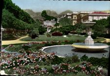 CPM Menton Le jardin public 