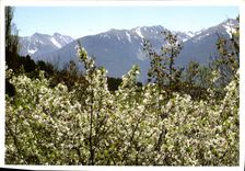 CPM Lumiere et couleurs des Pyrenees La vallee du Malaza 