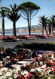 CPM La Cote d'Azur Cannes La Croisette 