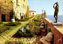 CPM Couleurs et Lumiere de France La Cote d'Azur Miracle de la Nature Antibes Alpes Martimes Le Chat