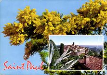 CPM Saint Paul Cote d'Azur French Riviera 