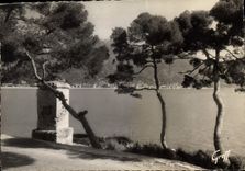CPM La Cote d'Azur Menton Etude de Pins et vieille fontaine au Cap Martin