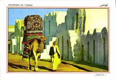 CPM Ksar Dabbab Village touristique 