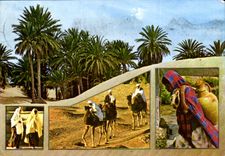 CPM Souvenir de Tunisie le Sud 