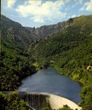 CPM En Parcourant le Languedoc au pied du Caroux le Barrage de l'Ayrette 
