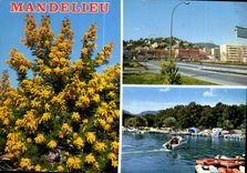 CPM Mandelieu Cote d'Azur La colline aux Mimosas les bords de la Siagne 