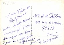 CPM l'Auvergne pittoresque Le troupeau au pre folklore Chien Moutons